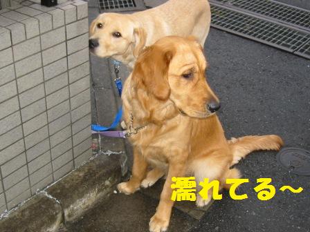 �o���������Ƃ�������I