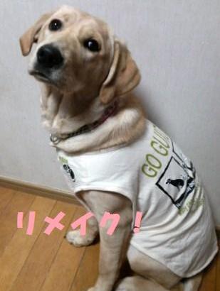 �o���������Ƃ�������I