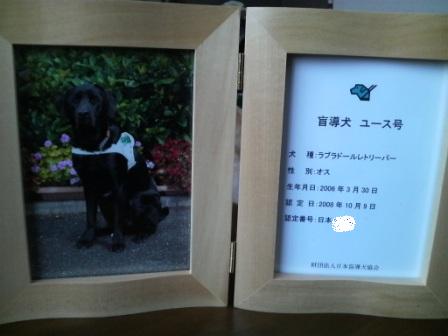 �o���������Ƃ�������I