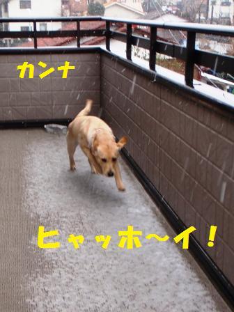 �o���������Ƃ�������I