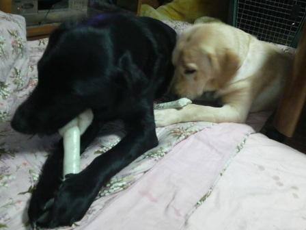 �o���������Ƃ�������I