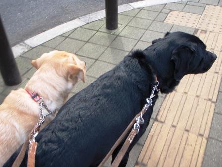 �o���������Ƃ�������I