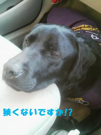 �o���������Ƃ�������I