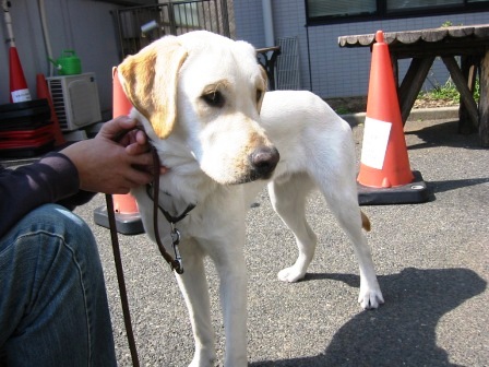 �o���������Ƃ�������I