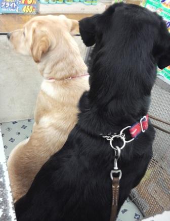 �o���������Ƃ�������I