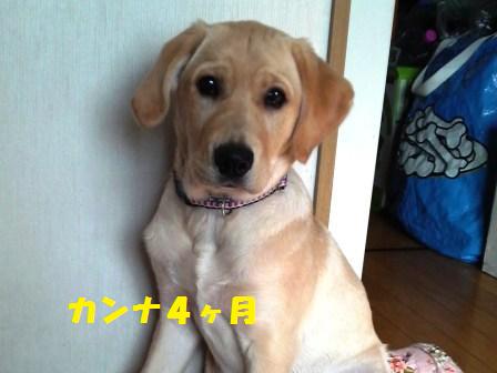 �o���������Ƃ�������I