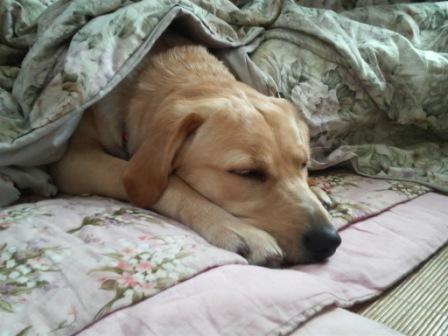 �o���������Ƃ�������I