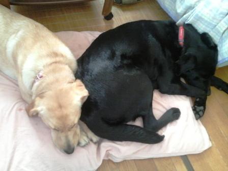 �o���������Ƃ�������I