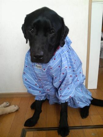 �o���������Ƃ�������I