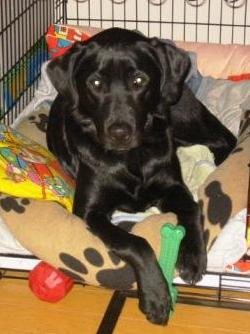 �o���������Ƃ�������I