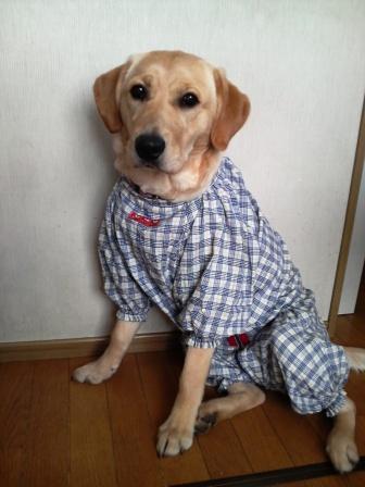 �o���������Ƃ�������I