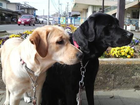 �o���������Ƃ�������I