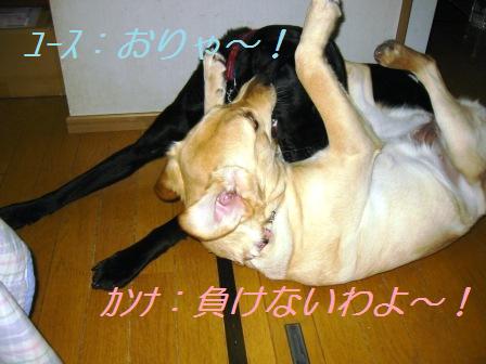 �o���������Ƃ�������I