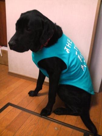 �o���������Ƃ�������I