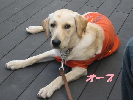 �o���������Ƃ�������I