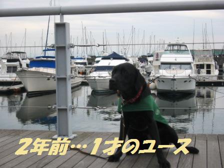 �o���������Ƃ�������I