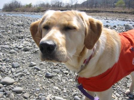 �o���������Ƃ�������I