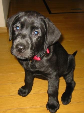 �o���������Ƃ�������I