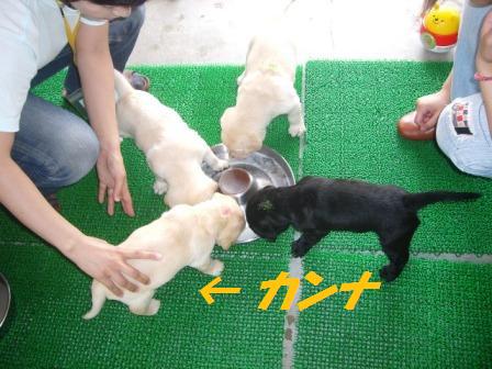 �o���������Ƃ�������I