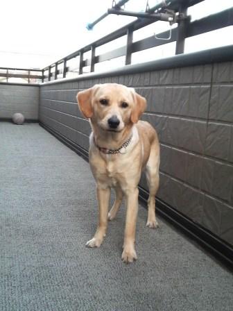 �o���������Ƃ�������I