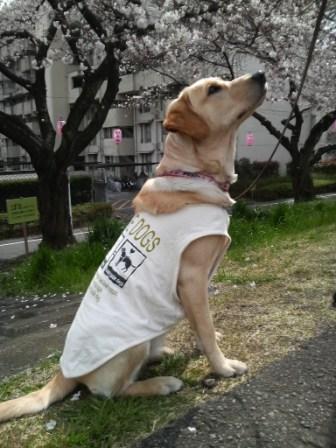 �o���������Ƃ�������I