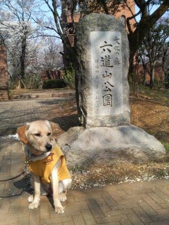 �o���������Ƃ�������I