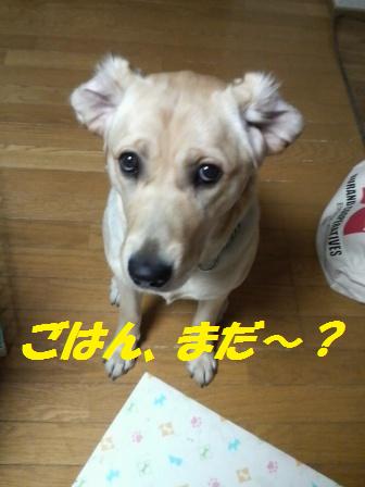 �o���������Ƃ�������I