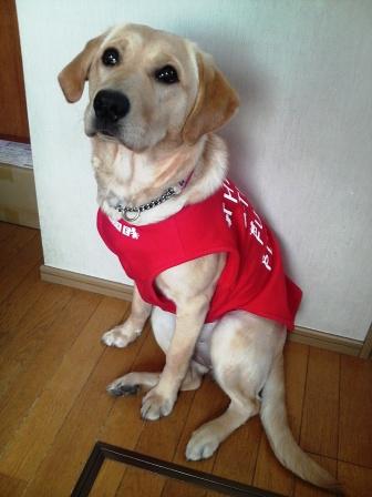 �o���������Ƃ�������I