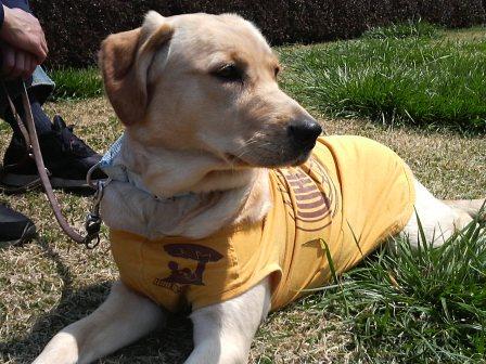 �o���������Ƃ�������I