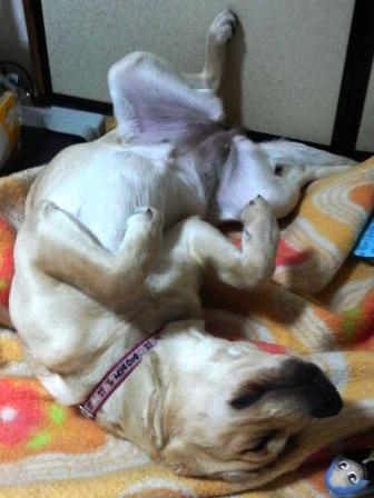 �o���������Ƃ�������I