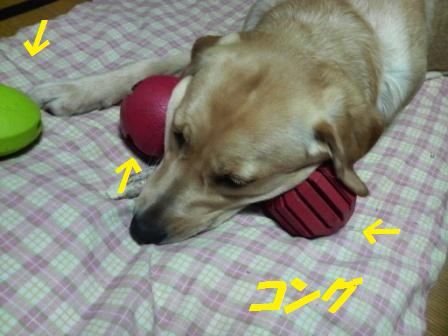 �o���������Ƃ�������I