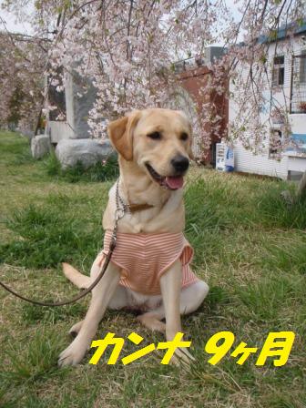 �o���������Ƃ�������I