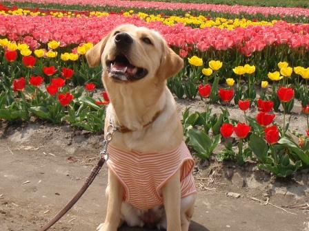 �o���������Ƃ�������I