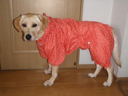 �o���������Ƃ�������I