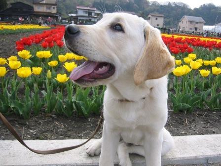 �o���������Ƃ�������I