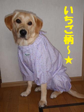 �o���������Ƃ�������I