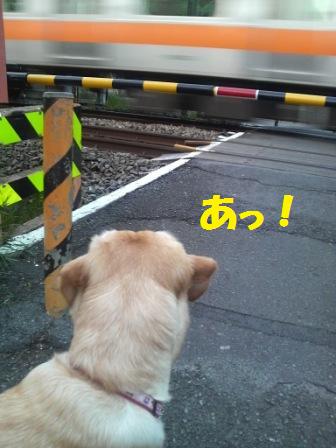 �o���������Ƃ�������I