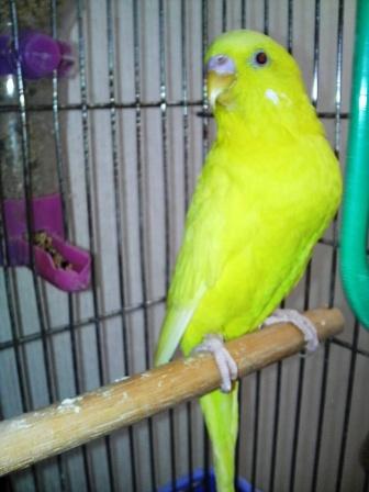 �o���������Ƃ�������I