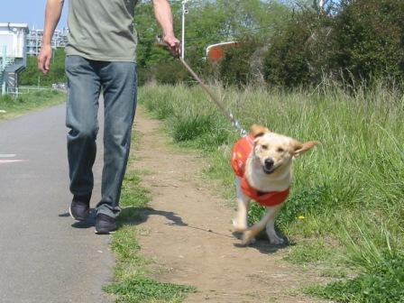 �o���������Ƃ�������I