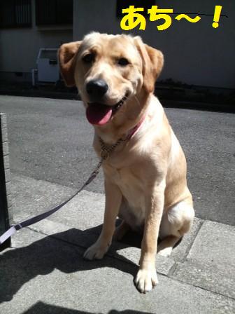 �o���������Ƃ�������I