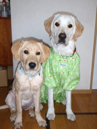 �o���������Ƃ�������I