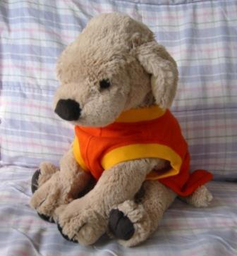 �o���������Ƃ�������I