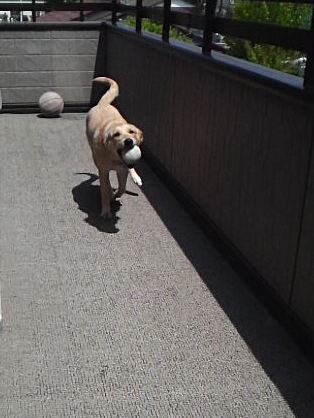 �o���������Ƃ�������I