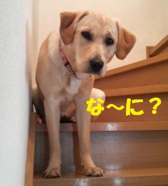 �o���������Ƃ�������I