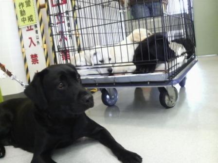 �o���������Ƃ�������I