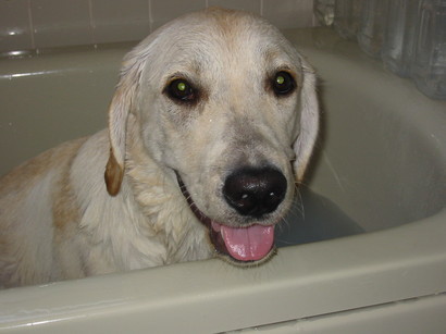 �o���������Ƃ�������I