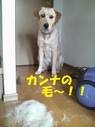 �o���������Ƃ�������I