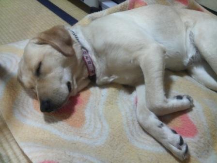 �o���������Ƃ�������I