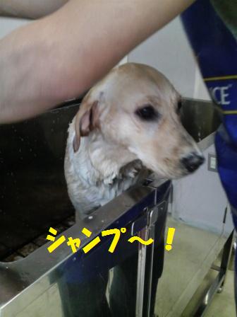 �o���������Ƃ�������I