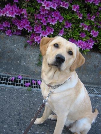 �o���������Ƃ�������I